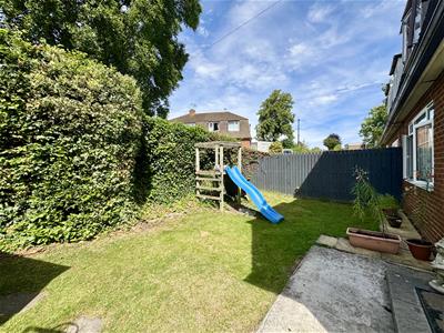 Picture 15